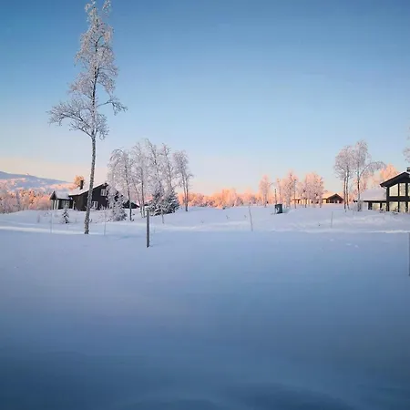 Дом отдыха Mountain Gem With In And Out At Golsfjellet