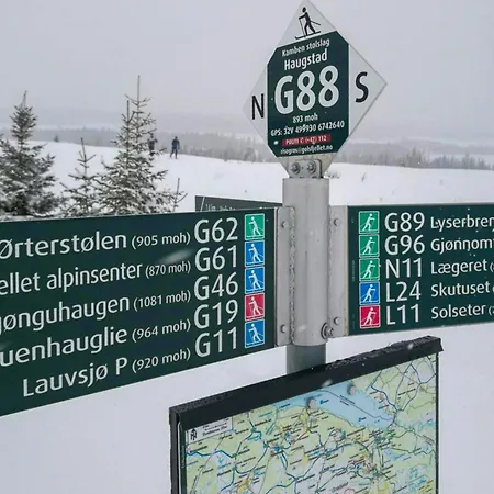 Mountain Gem With Ski In And Out At Golsfjellet *