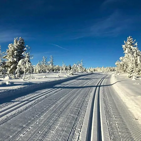 Mountain Gem With Ski In And Out At Golsfjellet