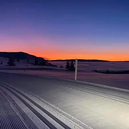 Hébergement de vacances Mountain Gem With Ski In And Out At Golsfjellet