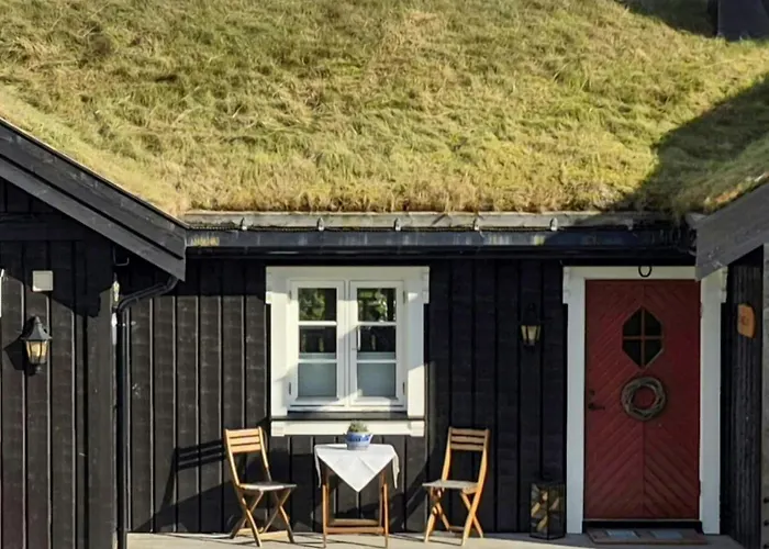 Mountain Gem With Ski In And Out At Golsfjellet Gol