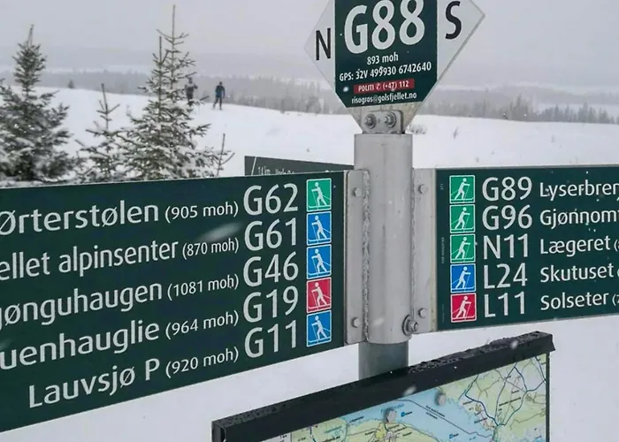 Mountain Gem With Ski In And Out At Golsfjellet *