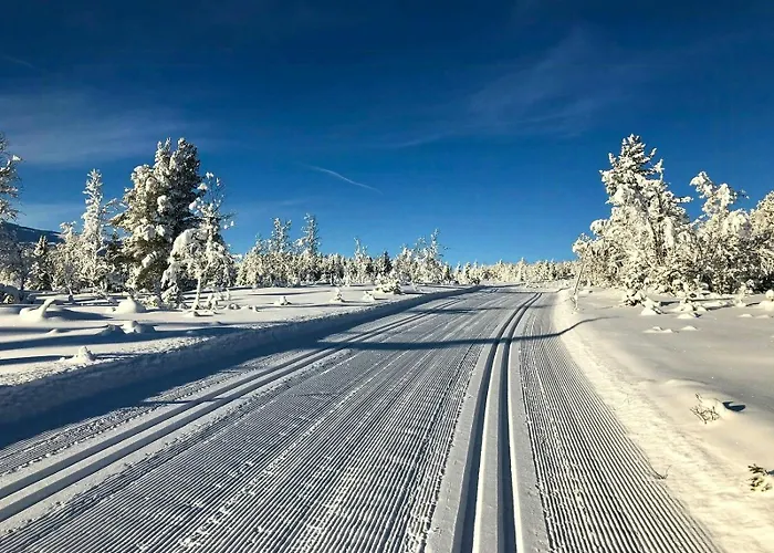 Mountain Gem With Ski In And Out At Golsfjellet