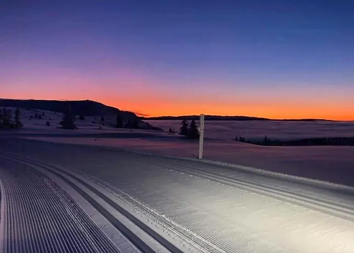 Ferienhaus Mountain Gem With Ski In And Out At Golsfjellet